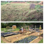 New No Dig Allotment – A Year In Pictures